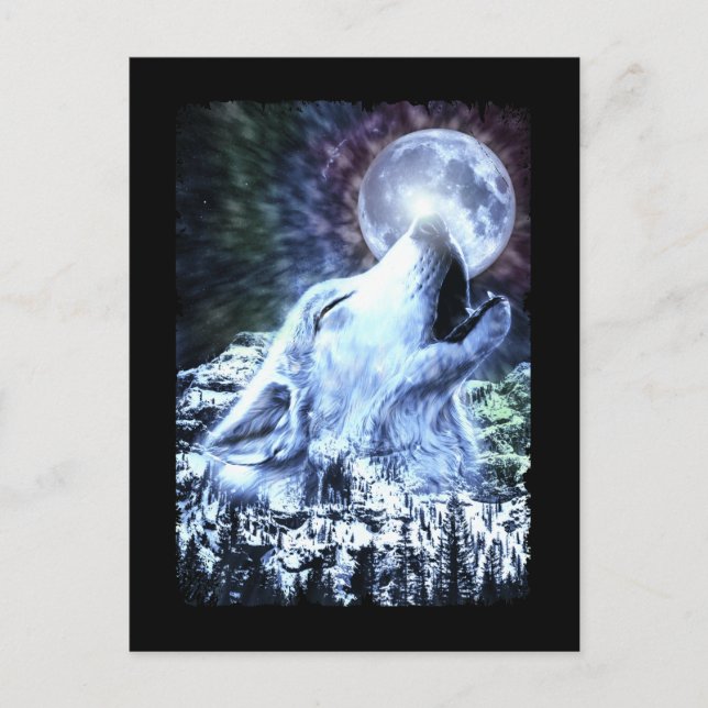 Howling Wolf Moon Wolves Winter Postcard (Front)