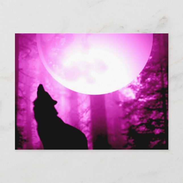 Howling Wolf Postcard (Front)