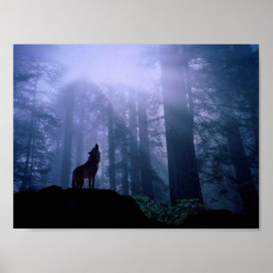 Howling Wolf Poster
