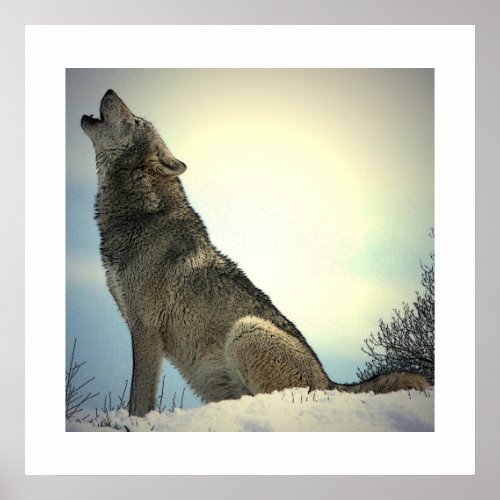 Howling Wolf Poster Print with White Borders