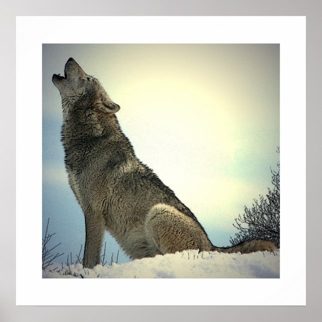 Howling Wolf Poster Print with White Borders (Front)