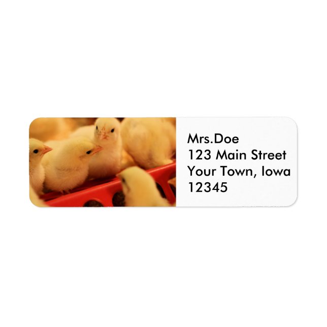 How's the cuisine return address label (Front)