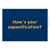 How's Your Saponification (Front Horizontal)