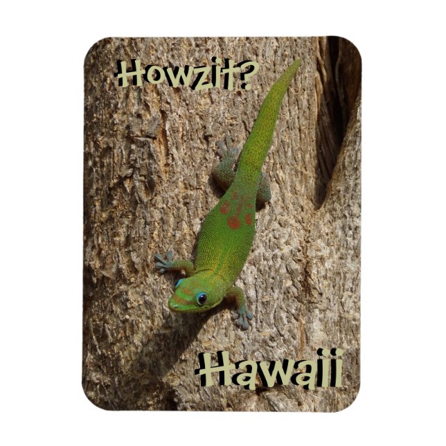 Howzit Hawaii gecko tropical rectangle magnet (Vertical)
