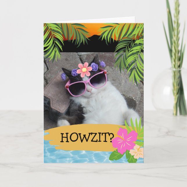 Howzit? Hawaiian Themed Chill Cat Pink Shades Card (Front)