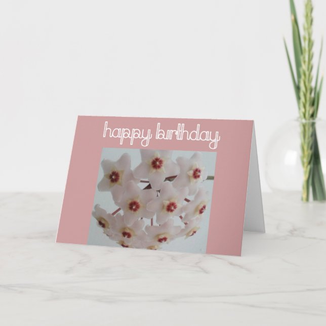 Hoya Flower Birthday Card (Front)