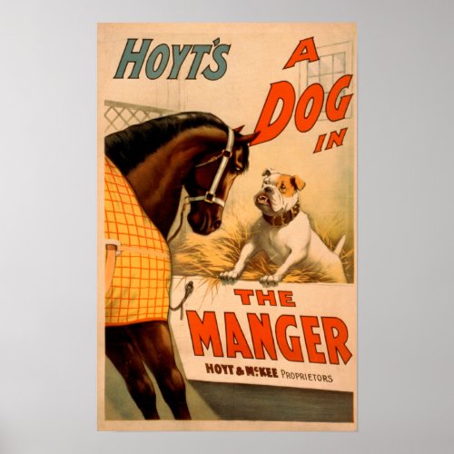 Hoyts A dog in the Manger Theatre Poster
