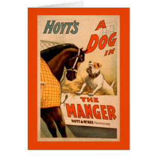 Hoyt's A dog in the Manger Theatre Poster Cards