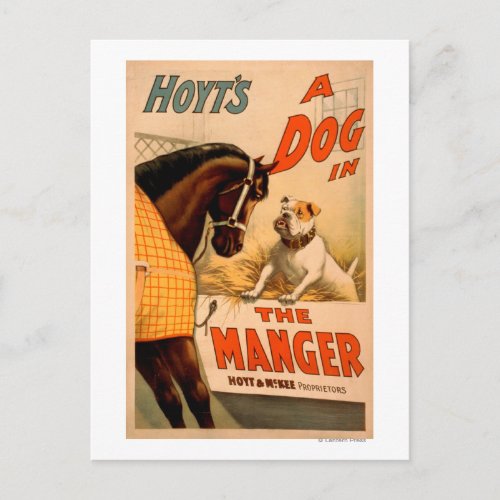 Hoyts A dog in the Manger Theatre Poster Holiday Postcard