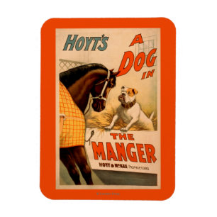 Hoyt's A dog in the Manger Theatre Poster Magnet