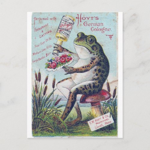 Hoyts German Cologne Frog Postcard