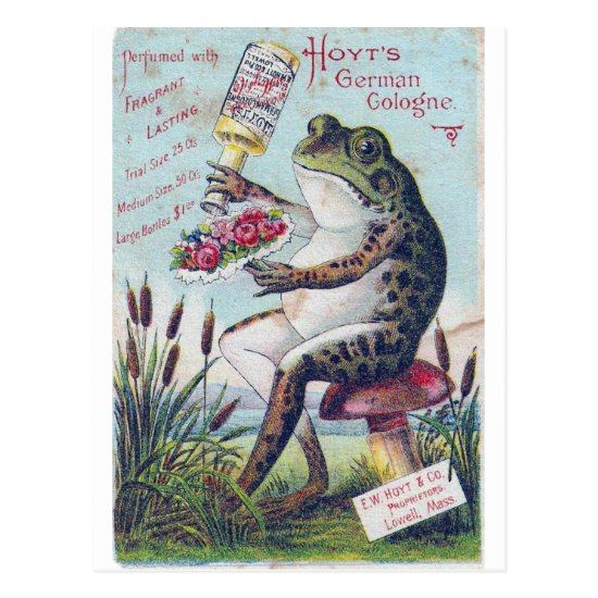 Hoyt's German Cologne Frog Postcard