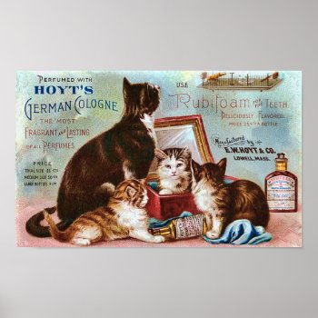 Hoyt's German Cologne Vintage Advertisement Poster by LeAnnS123 at Zazzle