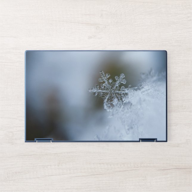 HP Elite Dragonfly Notebook Skin (Front)