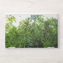 HP Elite laptop skin