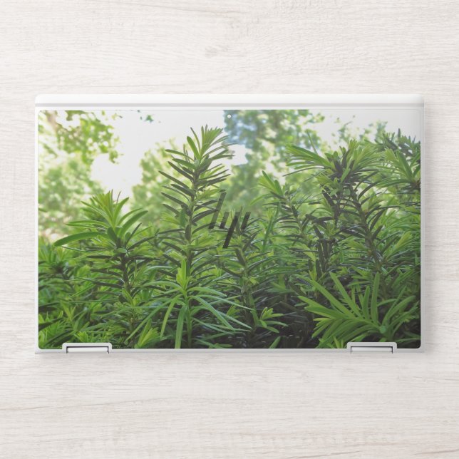 HP Elite laptop skin (Front)