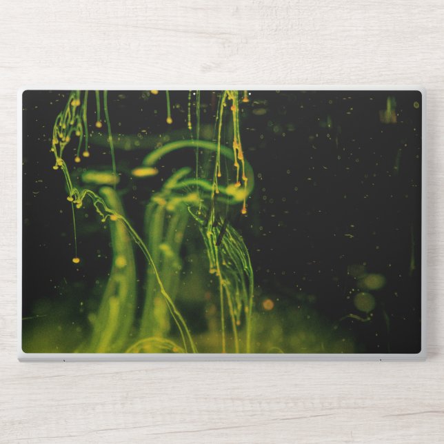 HP EliteBook 850 G5/G6, 755 G5/G6 HP Laptop Skin (Front)