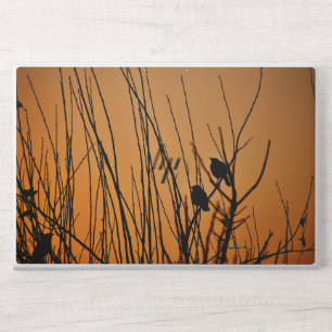 HP EliteBook 850 G5/G6, 755 G5/G6 Laptop Skin
