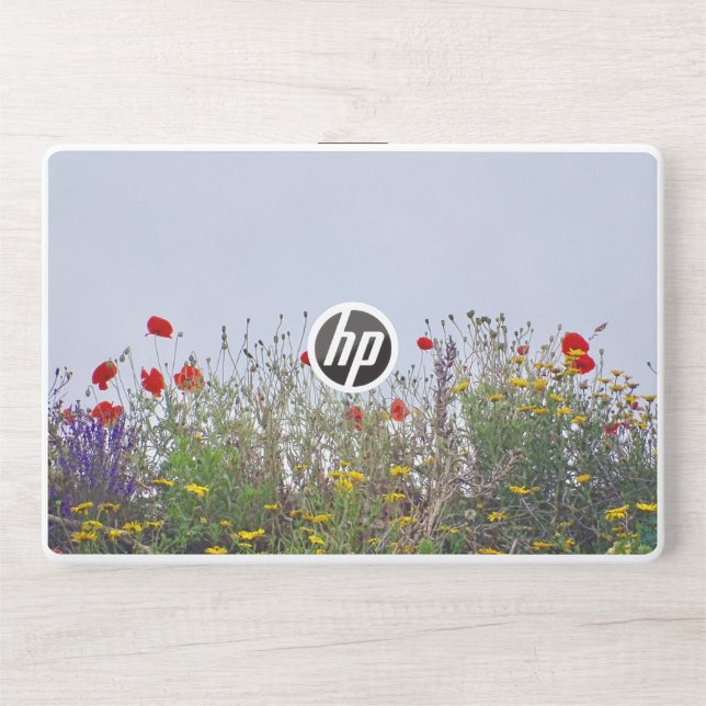 HP Laptop 15t/15z, HP 250/255 G7 Notebook PC Skin (Front)