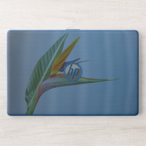 HP Notebook 15_dw0091nrLaptop 15_ef0015ca Skin