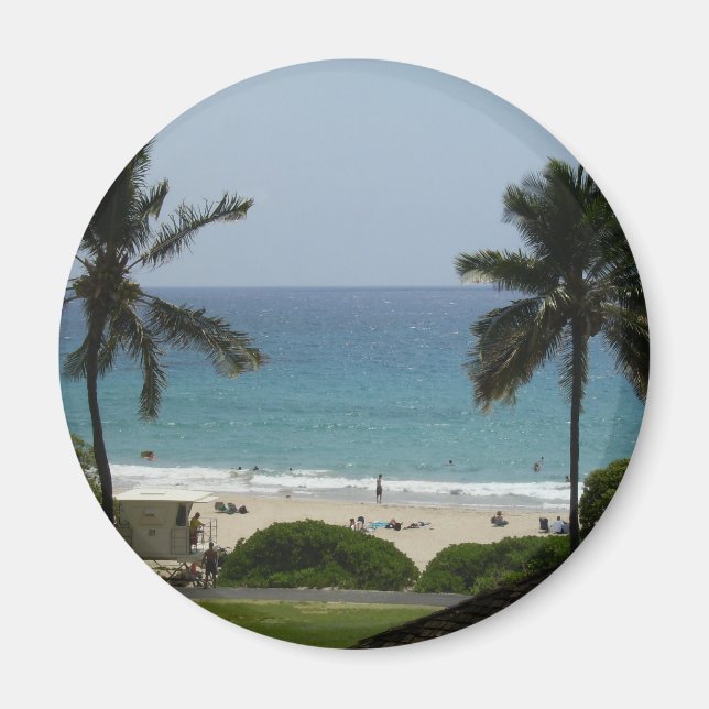 HPIM0170 MAGNET (Front)