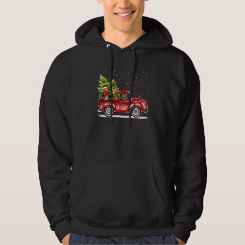 Hristmas Cat Lover Ride Red Truck Xmas Santa Hat P Hoodie