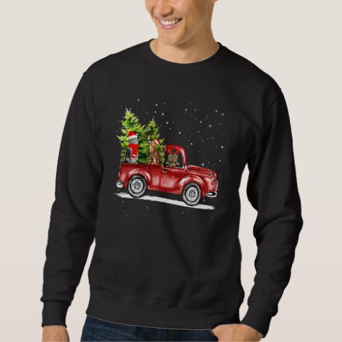 Hristmas Cat Lover Ride Red Truck Xmas Santa Hat P Sweatshirt