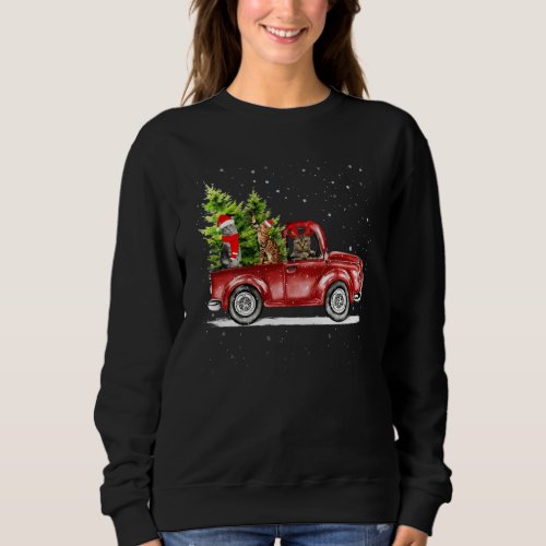 Hristmas Cat Lover Ride Red Truck Xmas Santa Hat P Sweatshirt