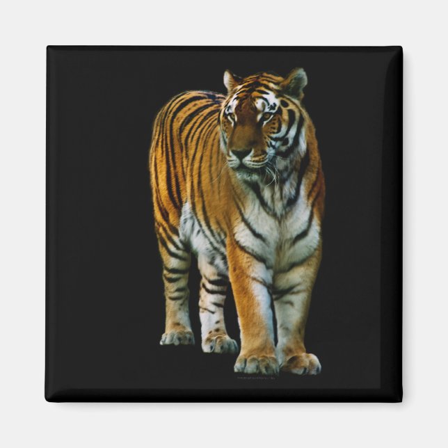 Hu Lin Magnet (Front)