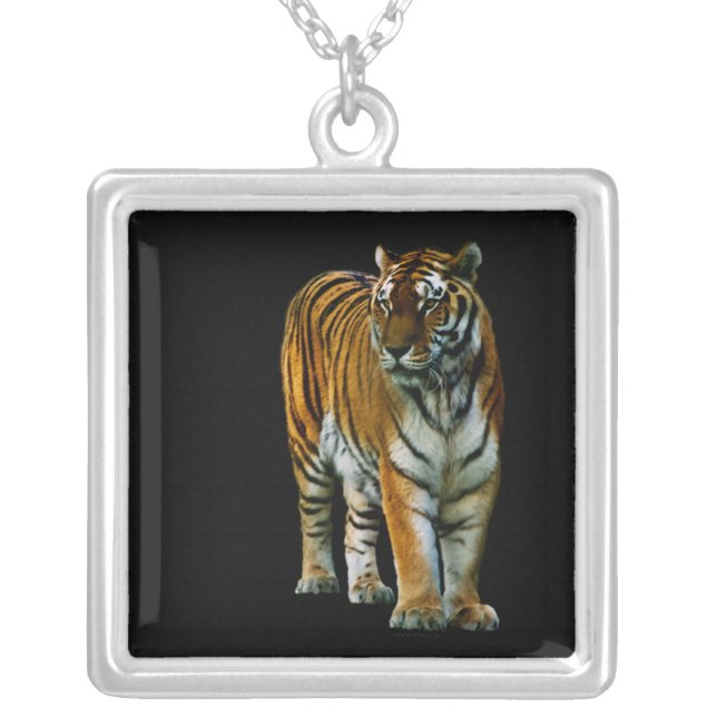 Hu Lin Necklace (Front)