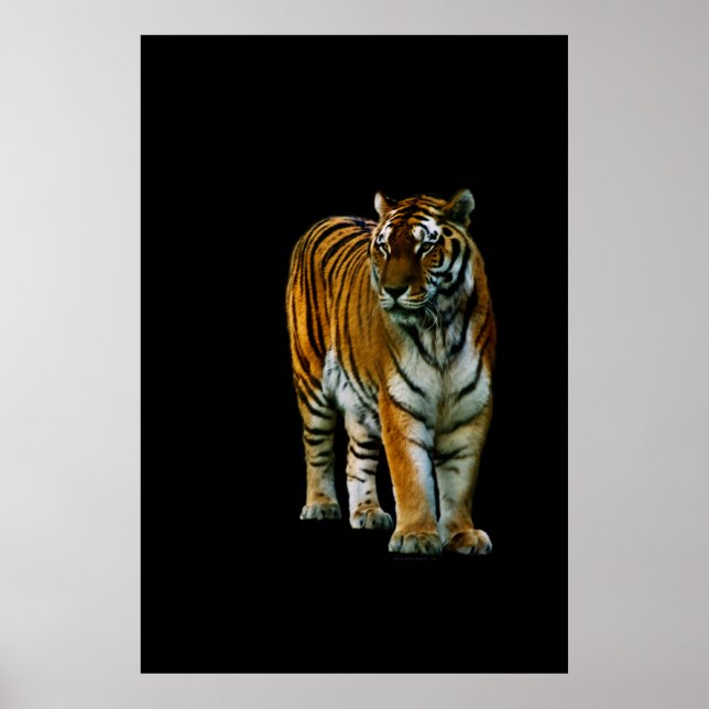 Hu Lin Print (Front)