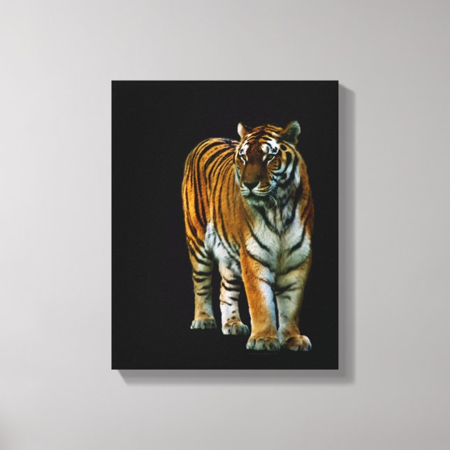 Hu Lin Wrapped Canvas Print (Front)