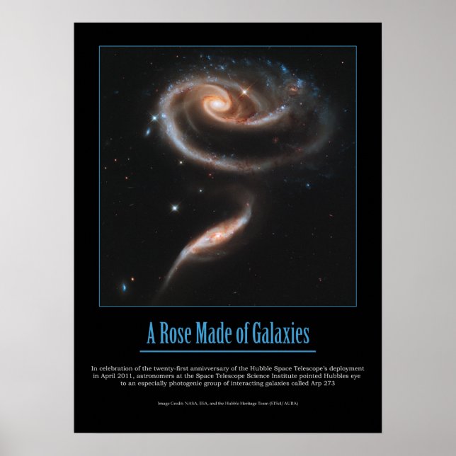 HUBBLE - A ROSE MADE of GALAXIES Poster (Front)