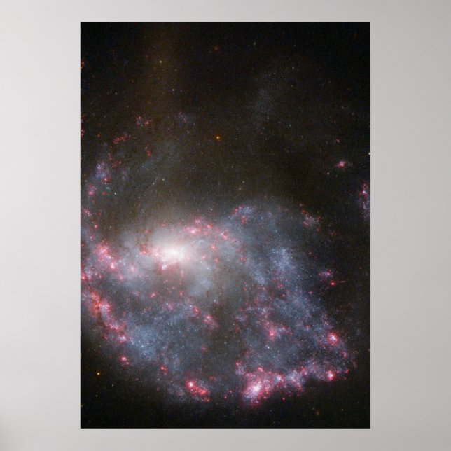 Hubble Sees a Galaxy Hit a Bull's-Eye Poster (Front)