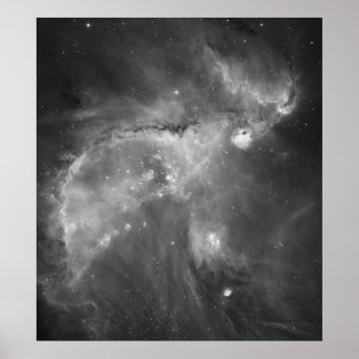 Hubble's Black and White View of the Universe Poster