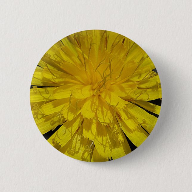 Hübsche Löwenzahnblüte Button (Front)