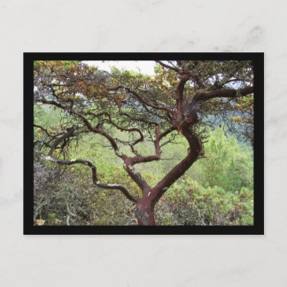 Huckleberry Preserve Postcard