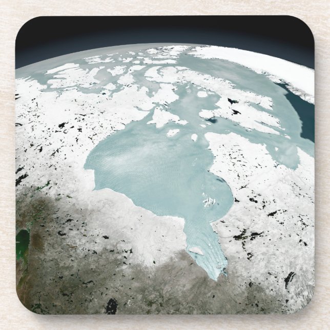 Hudson Bay Sea Ice On April 29, 2006. Beverage Coaster (Front)