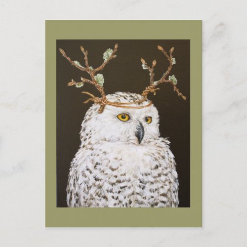 Hudson the snowy owl postcard