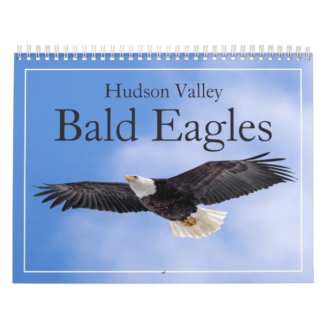 Hudson Valley Bald Eagles Calendar (Cover)