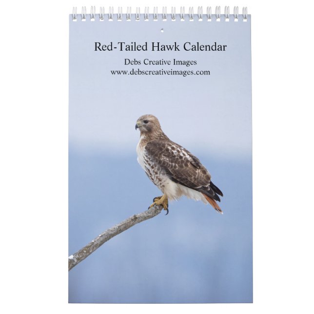 Hudson Valley Red-Tailed Hawks 2026 Calendar (Cover)