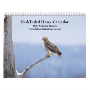 Hudson Valley Red-Tailed Hawks 2026 Calendar