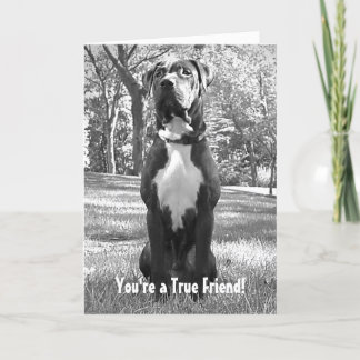 Hudson - You're a True Friend Card