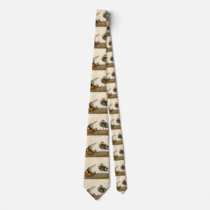 Hudsonian Godwit from Audubon's Birds of America Neck Tie