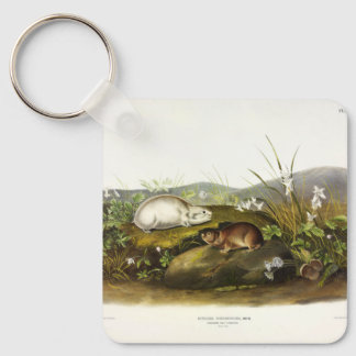 Hudson's Bay (Ungava Collared) Lemming by Audubon Keychain