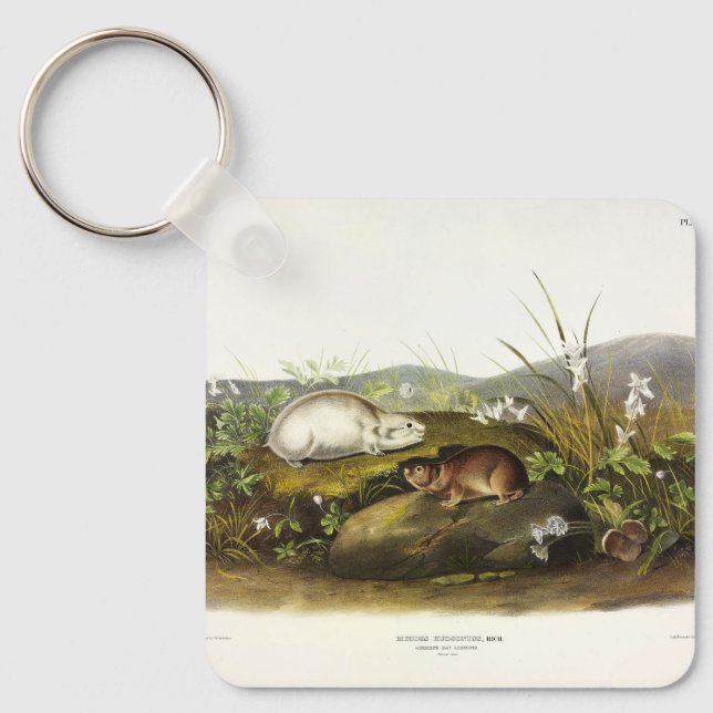 Hudson's Bay (Ungava Collared) Lemming by Audubon Keychain (Front)