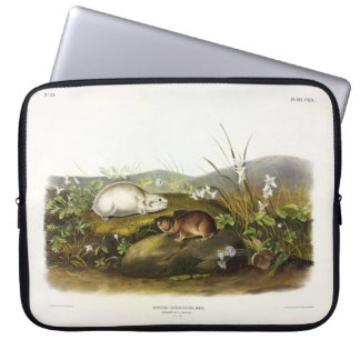 Hudson's Bay (Ungava Collared) Lemming by Audubon Laptop Sleeve