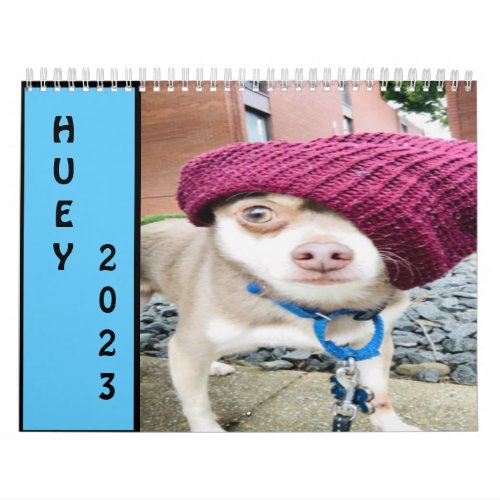 Huey 2023 Wall  Calendar