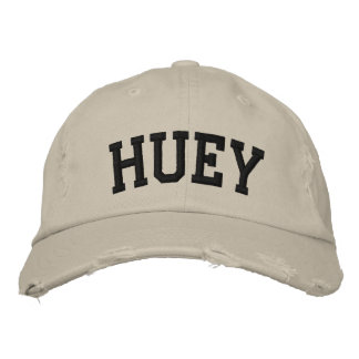 Huey Embroidered Hat