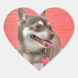 Huey Has my Heart Stickers! Heart Sticker